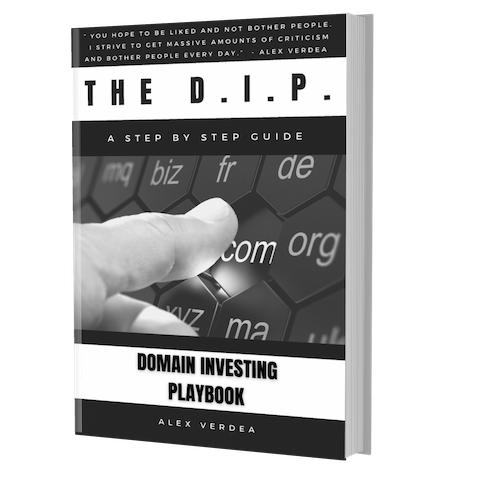Domain Investing Book